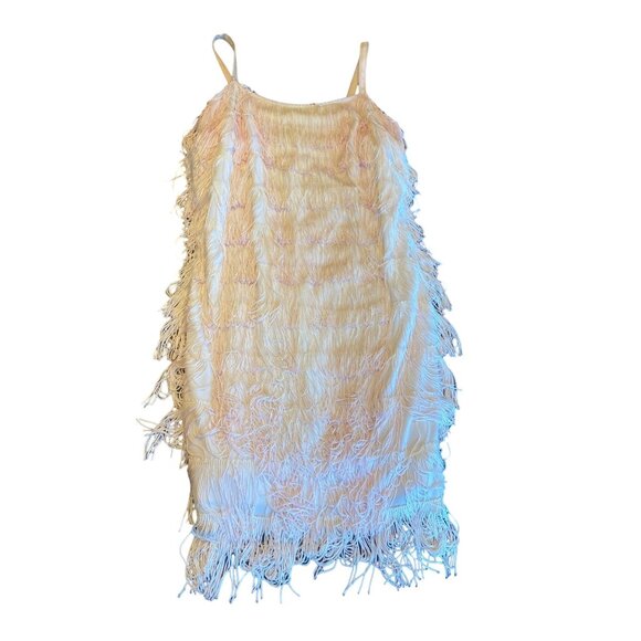 Lew Magram Collection Blush Fringed Flapper Dress Size Small Gatsby Twenties - Picture 2 of 5